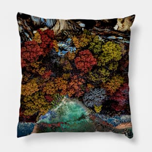 Abstract Nature Edition 5 Pillow