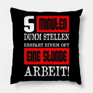 5 Minuten Dumm Stellen Erspart Einem Oft Eine Stunde Arbeit Pillow