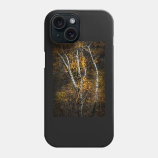 Silver Birch Trees Phone Case