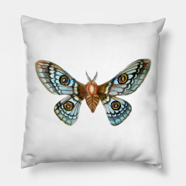 Rising Moth Pillow by Freja