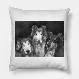 COLLIE TRIO Pillow