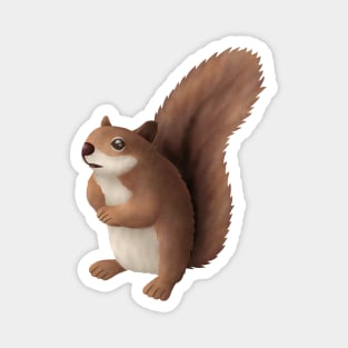 Squirrel Magnet