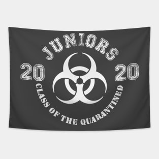 Juniors 2020 - Class of the Quarantined Tapestry