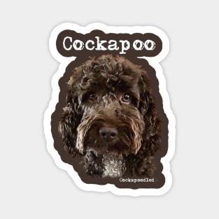 Chocolate Brown  Cockapoo / Spoodle and Doodle Dog Magnet