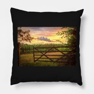 Maize Field At Sunset Pillow