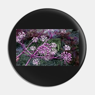 Purple Berries-Available As Art Prints-Mugs,Cases,Duvets,T Shirts,Stickers,etc Pin