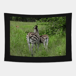 Zebra stripes Tapestry