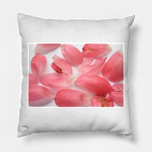 Peony petals  flower Pillow