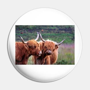 Dartmoor's Highlanders Pin