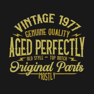 Vintage 1977 43nd Birthday 43 Years Old Gift T-Shirt