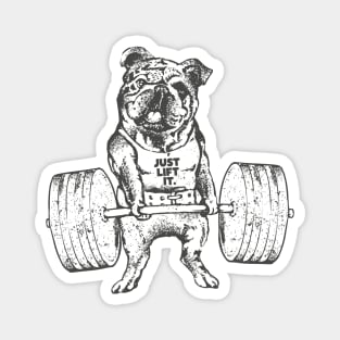 English Bulldog Lift Magnet