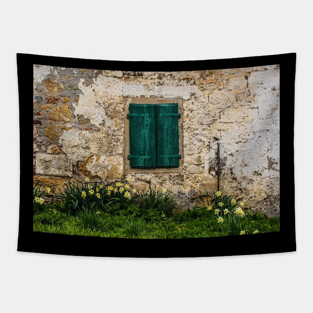 Green Shutter and Daffodils Tapestry by jojobob