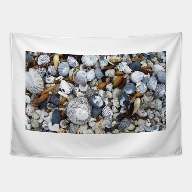 Seashell Beach Tapestry by KaSaPo