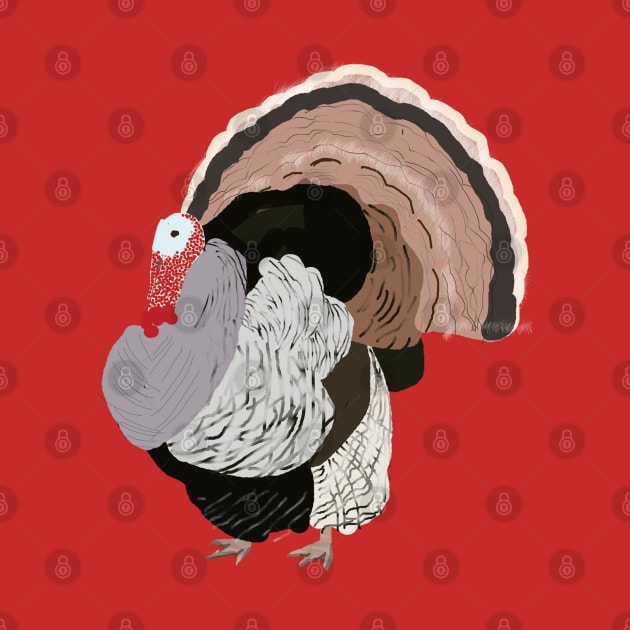 Turkey Illustration by ahadden