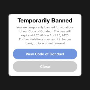 Temporarily Banned T-Shirt