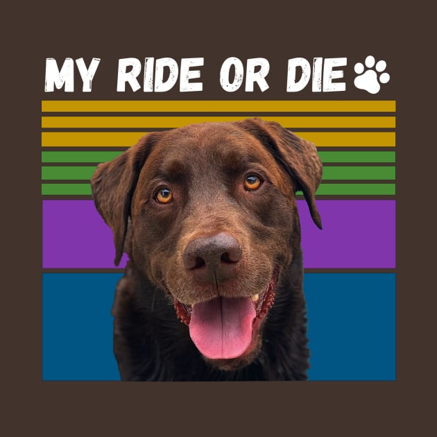 Ride or Die by CENTURY PARK DESIGNS