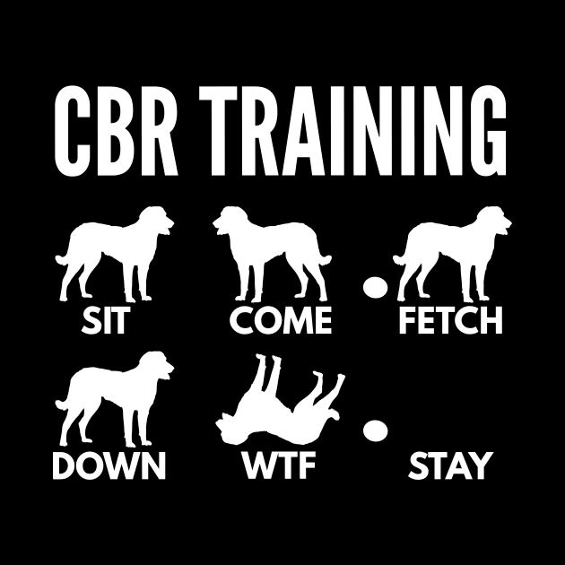 CBR Training Chesapeake Bay Retriever Tricks by DoggyStyles