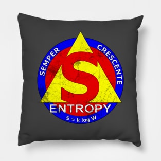 Entropy: Always Increasing! Pillow
