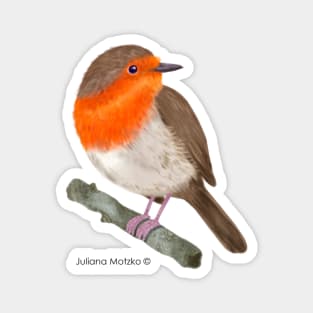 Robin RedBreast Bird Magnet