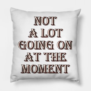 Not a lot going on at the moment Pillow