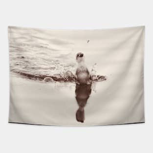 Chick on the hunt / Swiss Artwork Photography Tapestry