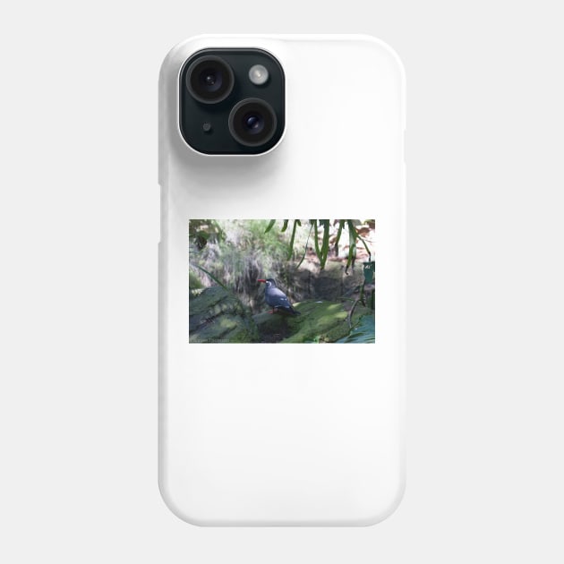 Inca Tern Phone Case by redneckpoet