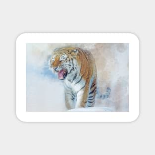 Siberian Tiger in snow Magnet