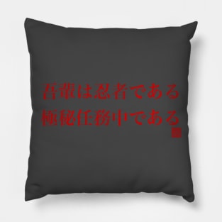 Secret Ninja Pillow