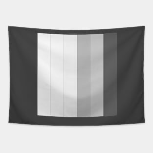 Gray colored stripes Tapestry