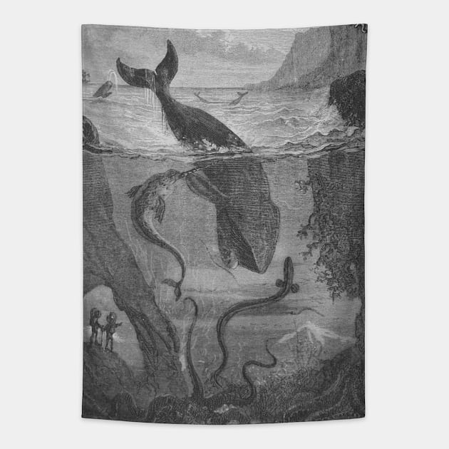 Whale Narwhal Nautical Vintage Scientific Illustration Tapestry by codeclothes
