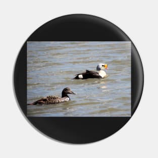 Eiders Pin