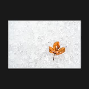 Autumn Leaf on Snow T-Shirt