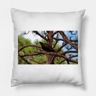 Turkey Vulture Pillow