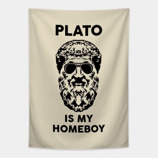 Plato Tapestry