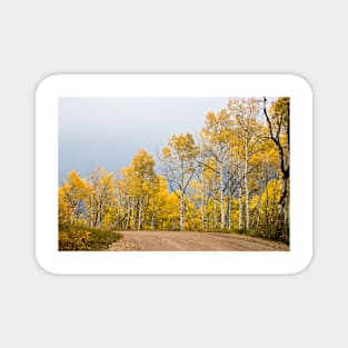 Aspens Magnet