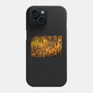 Cobweb at Sunrise. Phone Case