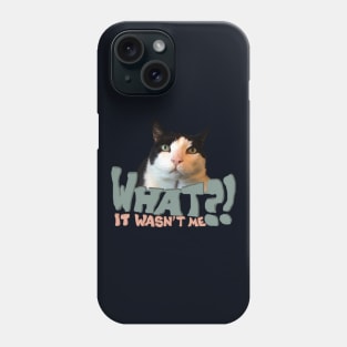 Innocent Cat Phone Case