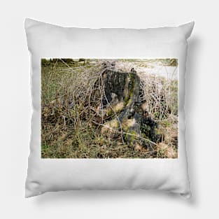 442015 stump Pillow