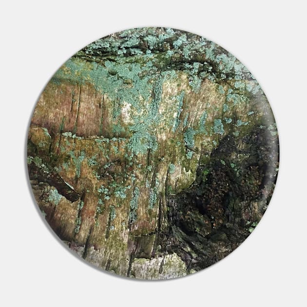 Abstract - Tree Bark Pin by bobpetcher