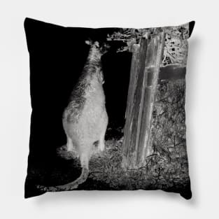 Wallaby in the Night! Pillow