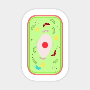 A plant cell with vacuole, Mitochondria, Golgi bodies,Lysosomes etc. in a cell of a leaf. Magnet