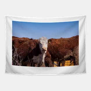 Cow Wall Tapestry