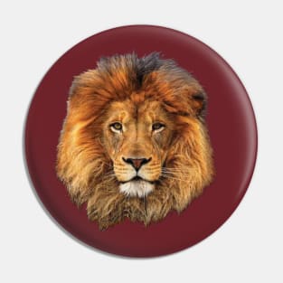 Lion King from Africa Pin