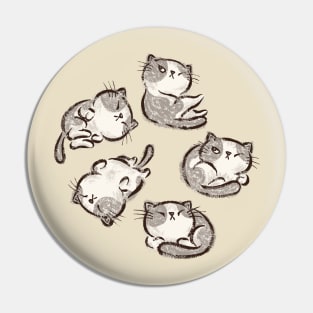 Kitten cat relax Pin