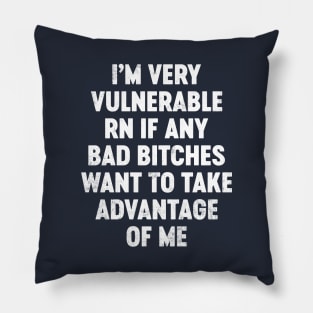 I'm Very Vulnerable RN If Any Bad Bitches Want To Take Advantage Of Me Funny Pillow