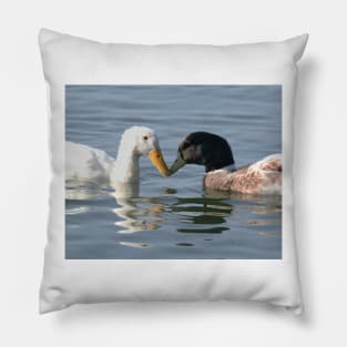 The Odd Couple Pillow