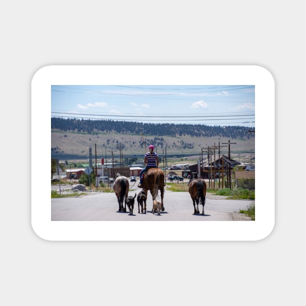 Woman Riding Horse With 3 Dogs and 2 Horses Magnet by photosbyalexis