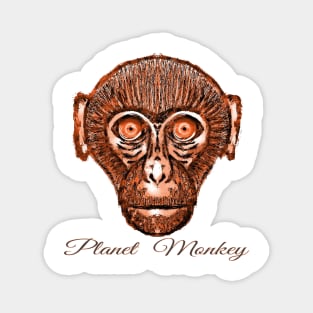 Bored Ape on Planet Monkey Magnet