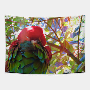 Scarlet Macaw V2 Tapestry