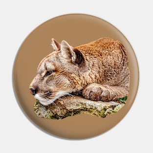 Just a Paws for thought Cougar Pin